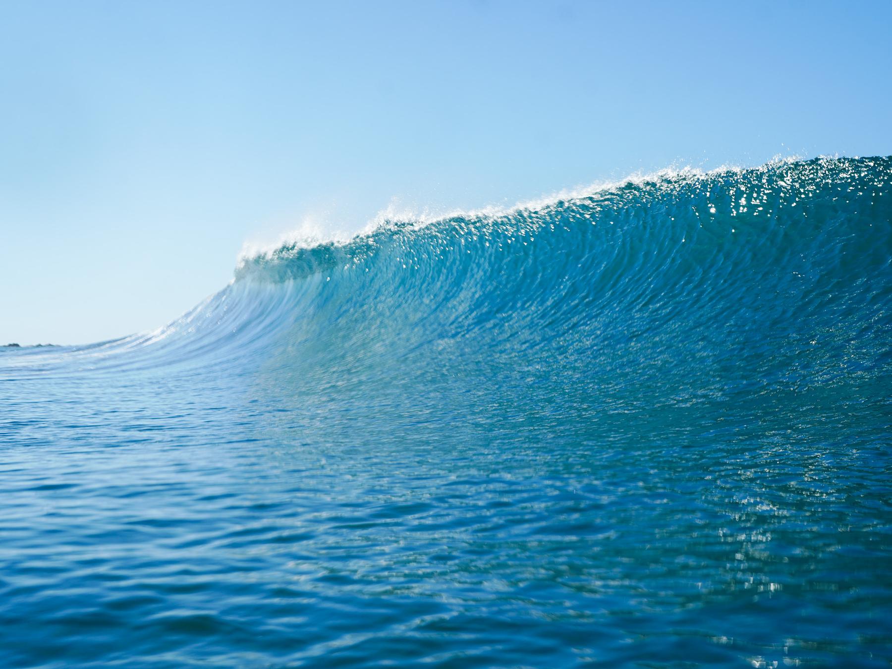A clean wave face rising against a blue sky